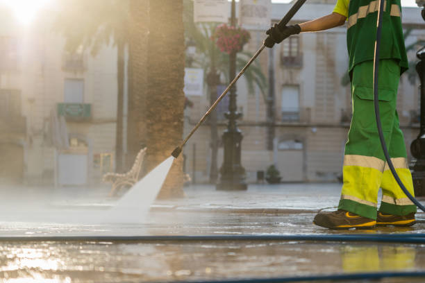 Best Roof Pressure Washing  in Borden, IN