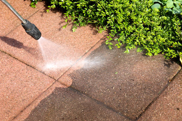 Best Pressure Washing Contractors  in Borden, IN